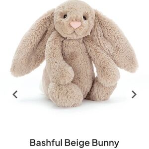 Brown beige bunny jelly cat 🐰